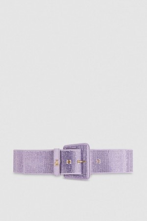 Patrizia Pepe High-waisted Belt With Rhinestones ροζ | LMUCKVB-73