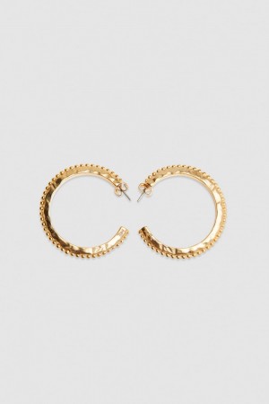 Patrizia Pepe Hoop Earrings χρυσο χρωμα | QJSCFEX-82