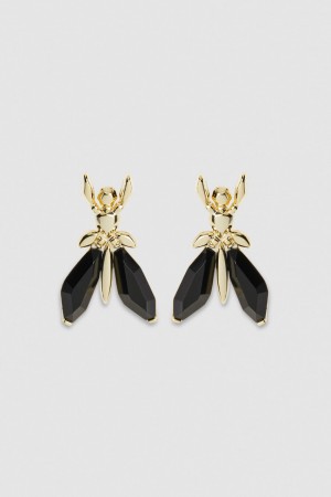 Patrizia Pepe Precious Fly Earrings With Stones μαυρα | QRAESFV-31